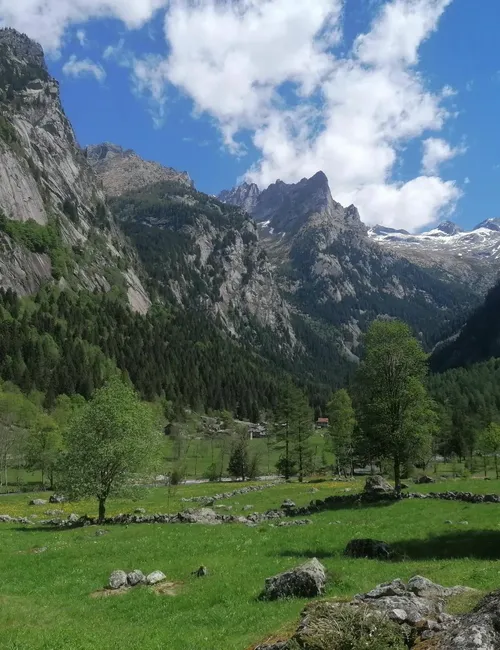 Val Masino