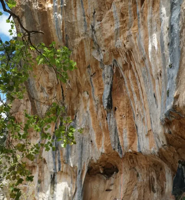 Corso di arrampicata sportiva
