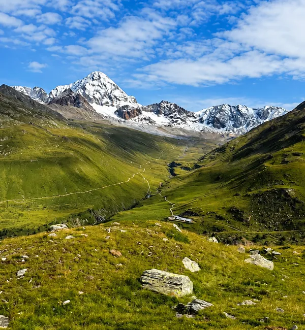 Valle dei Forni: Sentiero Glaciologico Alto