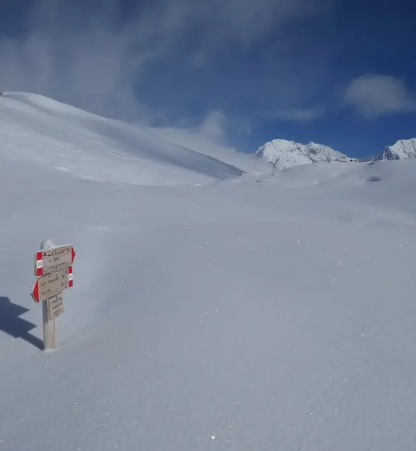 Sci alpinismo senza meta