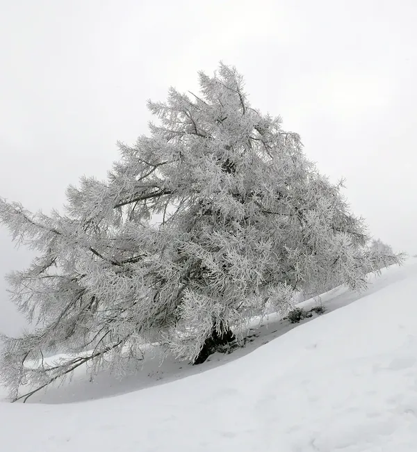 Sci alpinismo senza meta