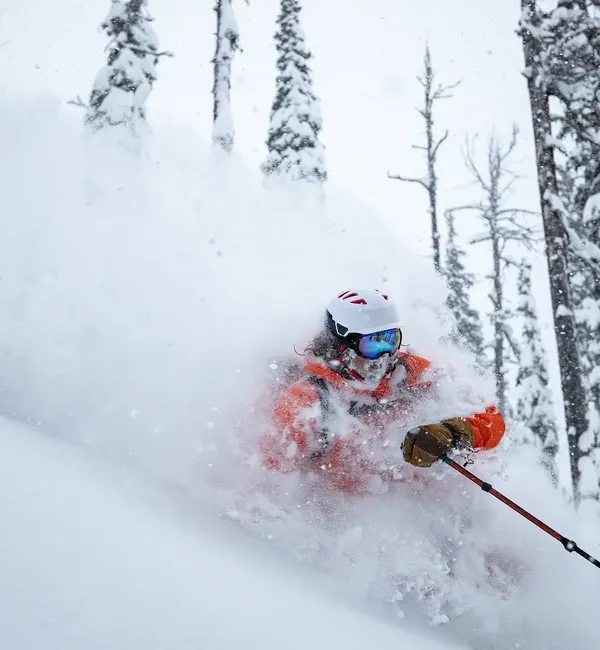 Giornata Freeride