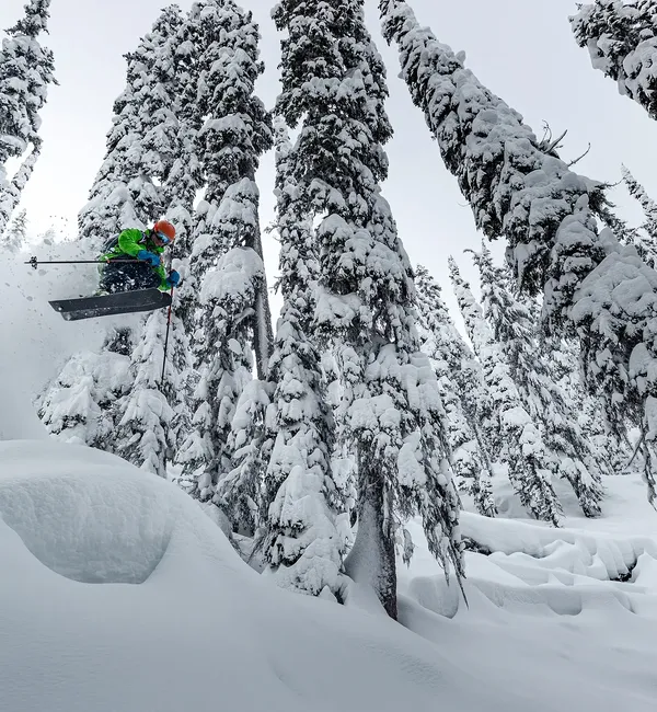 Giornata Freeride