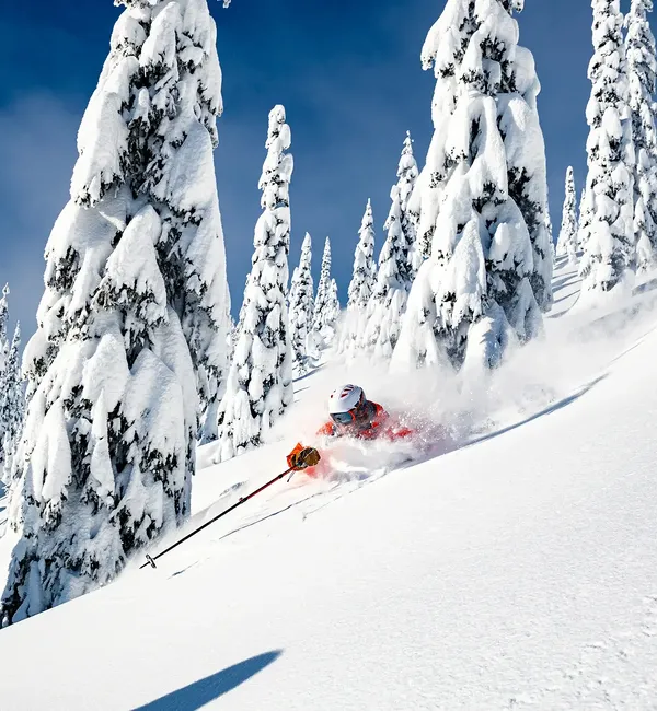Giornata Freeride