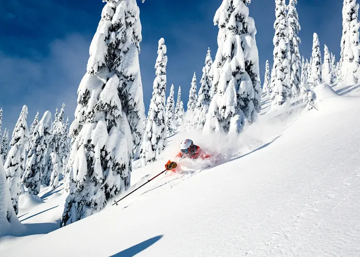 Giornata Freeride
