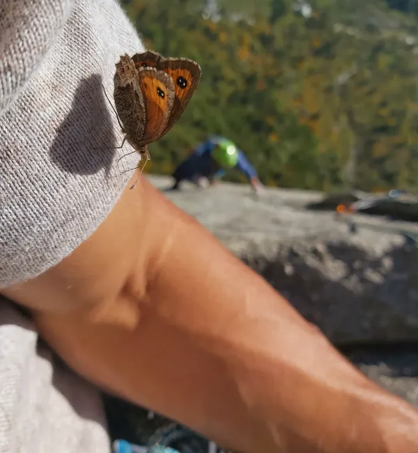 Primi passi in Val di Mello