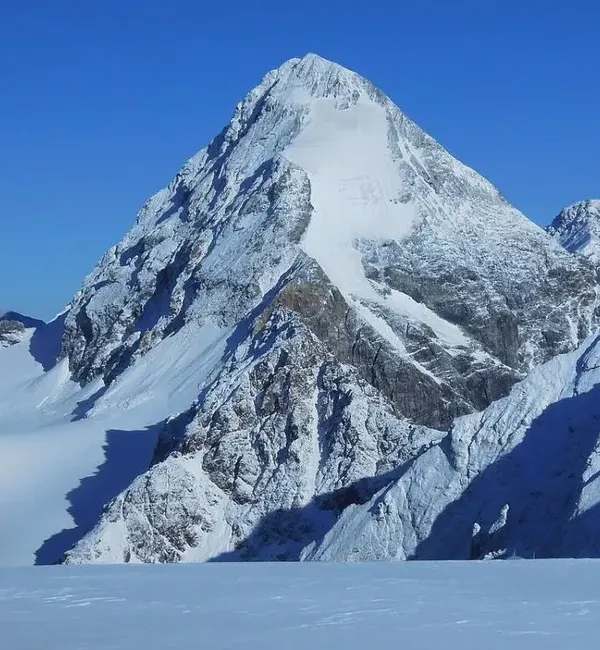 Gran Zebrù - Via Normale