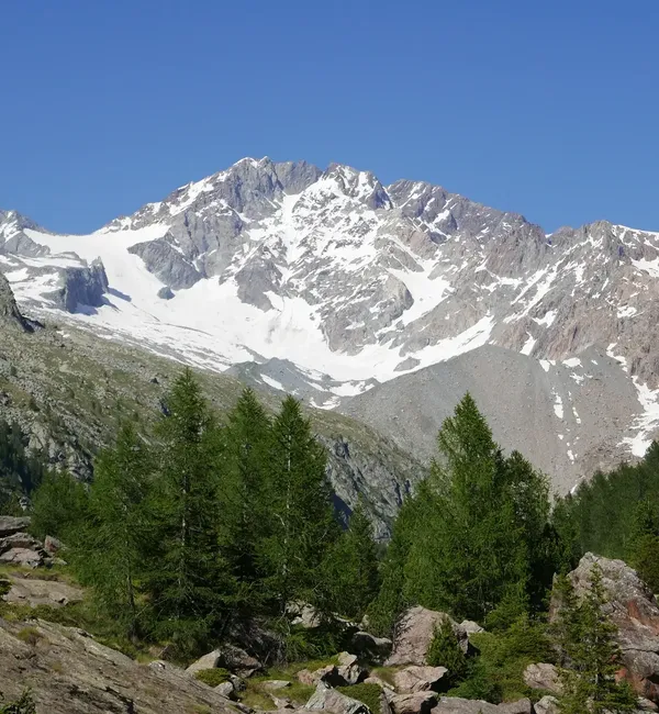 Monte Disgrazia - Via Normale