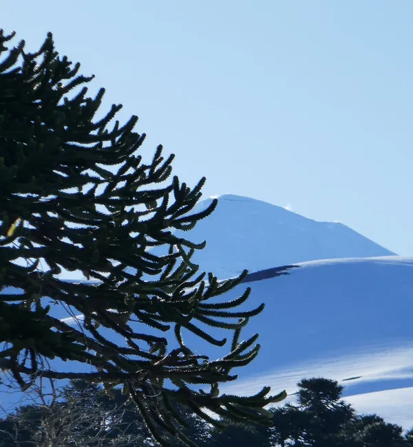 I vulcani del Cile - scialpinismo agli antipodi