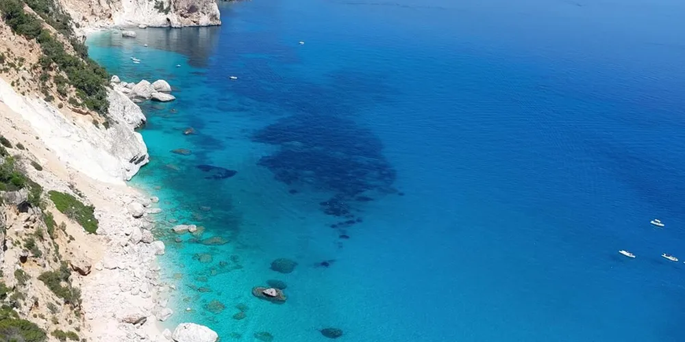 Selvaggio Blu