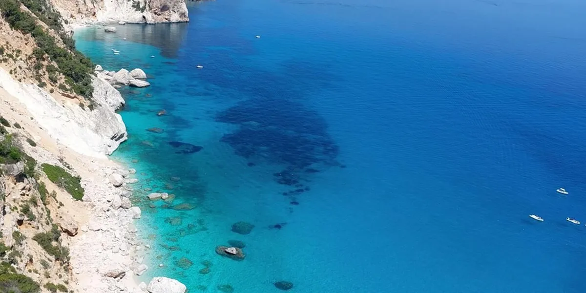 Selvaggio Blu