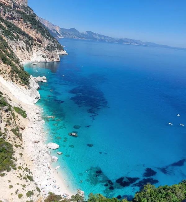 Selvaggio Blu
