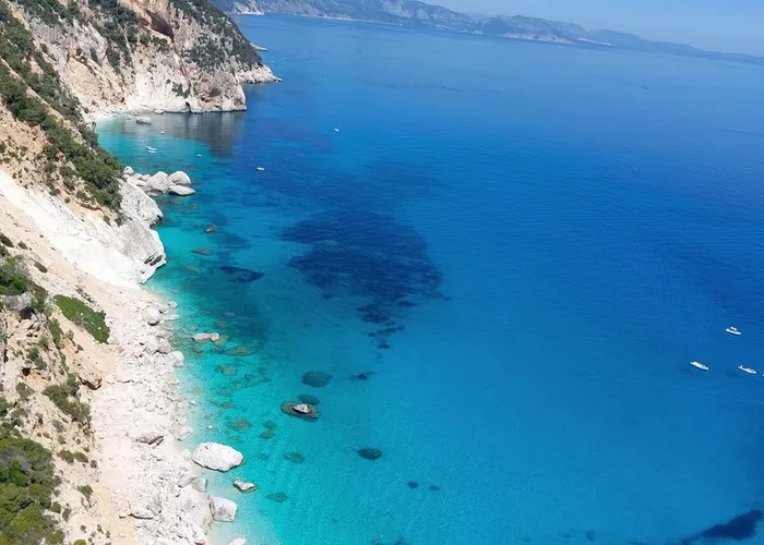 Selvaggio Blu