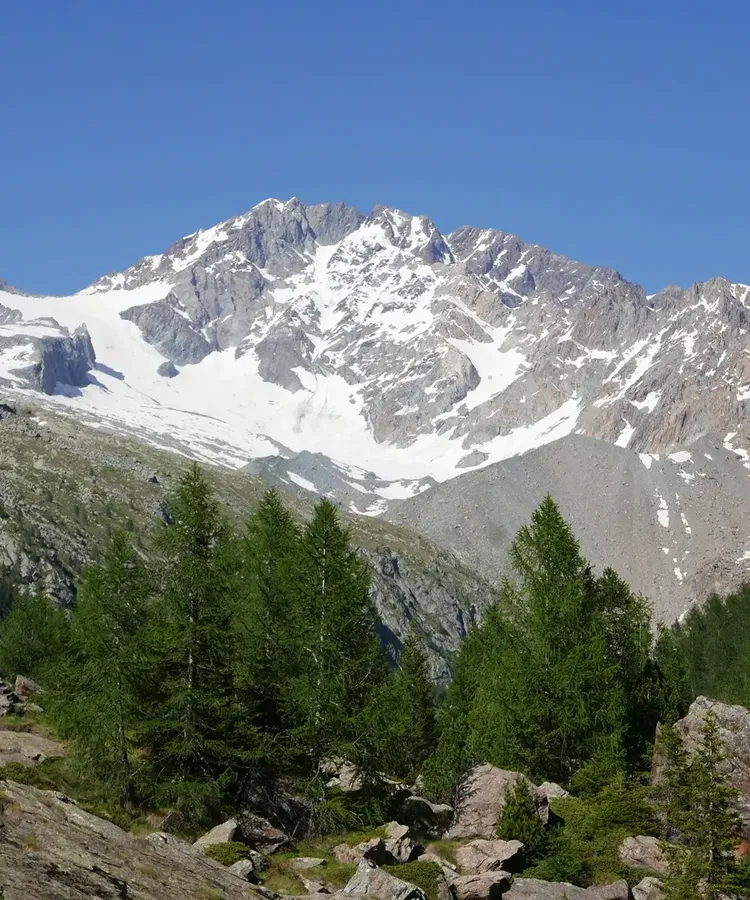 Alpinismo estivo