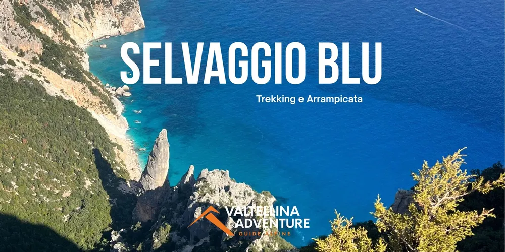 Selvaggio Blu