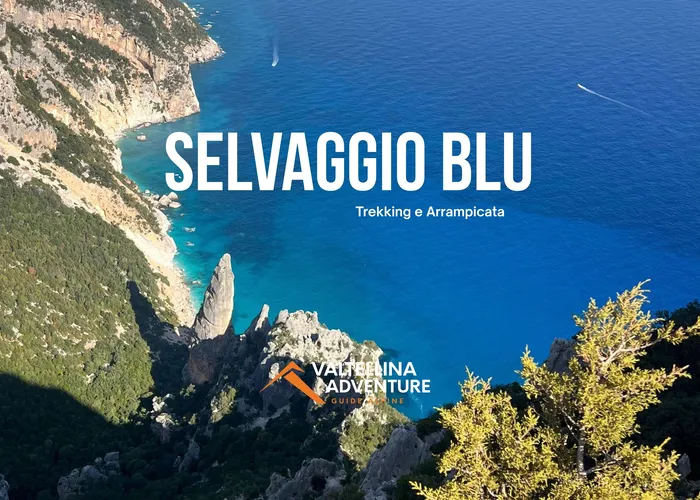 Selvaggio Blu